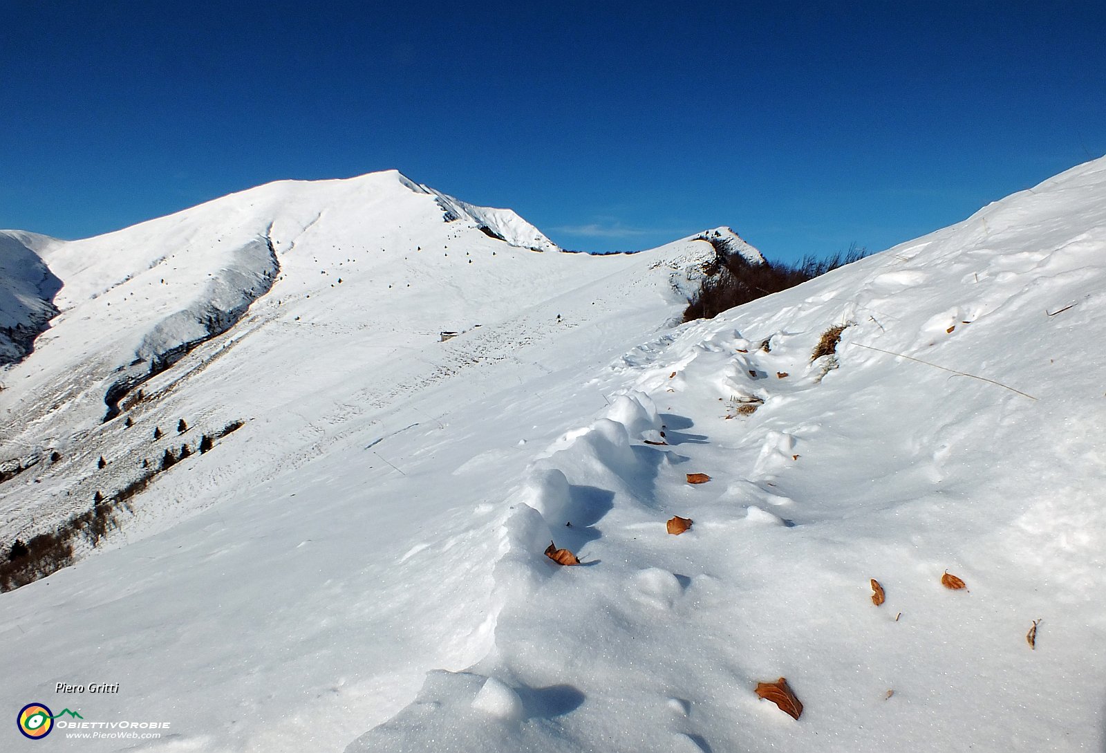 23 siamo ancora in autunno !.JPG